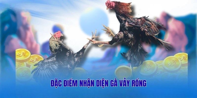 Đặc điểm nhận diện gà vảy rồng