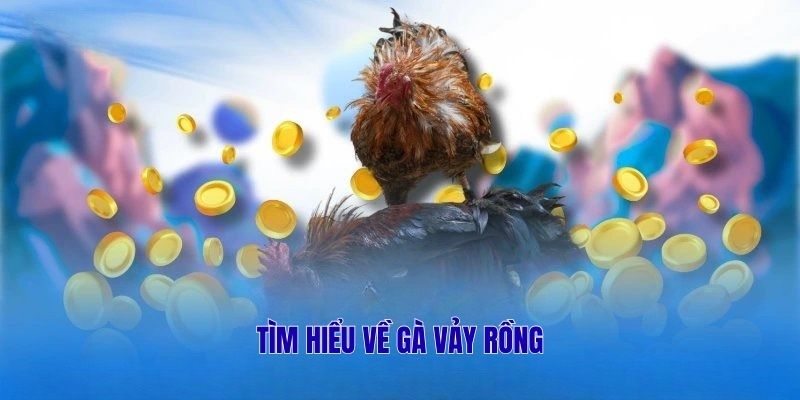 Tìm hiểu về gà vảy rồng