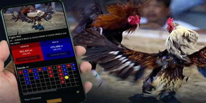 Giới thiệu tổng quan về sân chơi này